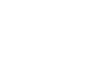 Logo wfs academy